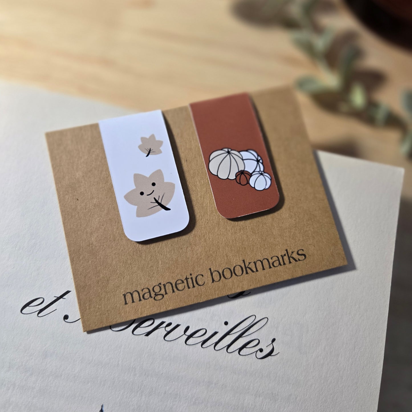 duo de petits signets magnétiques - LATTÉ À LA CITROUILLE